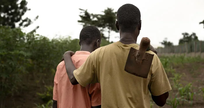 Reducing Post‑Harvest Losses in Africa: A Data‑Driven Strategy for Food Security and Economic Stability